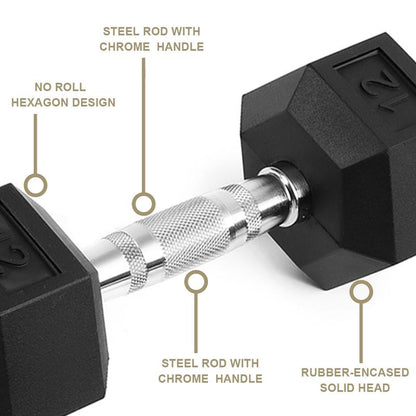 Hdrs-20Lb 1Pieces Rubber Coated Solid Cast Iron Dumbbell with Contoured Chrome Handle, Hexagon Head Redplatesgym